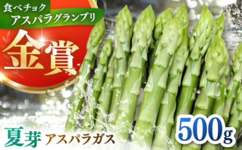 【先行予約】身体にやさしい こだわり 夏芽 アスパラガス 約500g【ひがじま農園】 [ICW004]