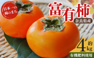 化粧箱 富有柿 約4kg | フルーツ  果物 くだもの 柿 カキ かき 奈良県 五條市
