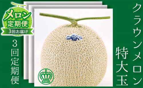 【メロン定期便】クラウンメロン（白等級）特大玉　1玉【3か月連続】 メロン青肉 フルーツ 3ヶ月  83276 - 静岡県森町