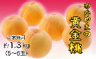 おかやまの黄金桃1.3kg(ご家庭用) 【数量限定１０００セット】