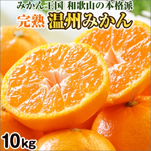 完熟温州みかん 10kg 和歌山のみかん職人が作るこだわりミカン 83285 - 和歌山県御坊市