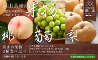 【定期便】岡山の果物3種食べ比べ（7月 桃、9月 ぶどう、11月 梨）【数量限定300セット】