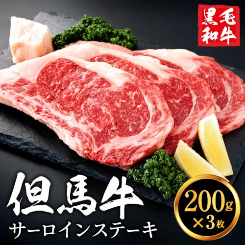 但馬牛経産牛「サーロインステーキ」200ｇ×3枚 020AA02N.／黒毛和牛 ステーキ肉 いちかわ精肉店 経産牛 牛肉 国産 bbq バーベキュー 焼肉 ステーキ サーロイン 赤身 肉 冷凍 焼き肉用  83305 - 兵庫県市川町
