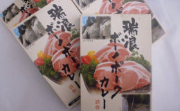 瑞浪ボーノポークは、全国でも珍しく脂肪交雑(さし)を独自に5段階で評価し格付けしています。その瑞浪ボーノポークがカレーに。豚肉と野菜がたっぷり入って旨味がギュッと詰まったカレーです。■瑞浪ボーノポーク
