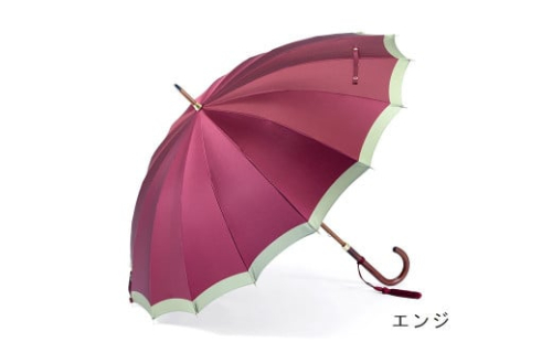 【前原光榮商店】婦人用雨傘 ボーダー-W-カーボン〈手元：寒竹〉 (カラー：エンジ)
