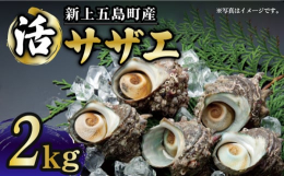 きれいな上五島の海で育った新鮮なサザエです。お刺身・つぼ焼きなど、様々なお料理で美味しくお召し上がりいただけます。もちろん、シンプルに塩茹ででいただくのもおすすめ♪サザエならではの身のコリコリ感や、濃