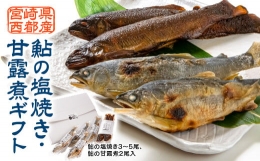 【ふるさと納税】鮎の塩焼き・甘露煮ギフト ＜1-281＞川魚