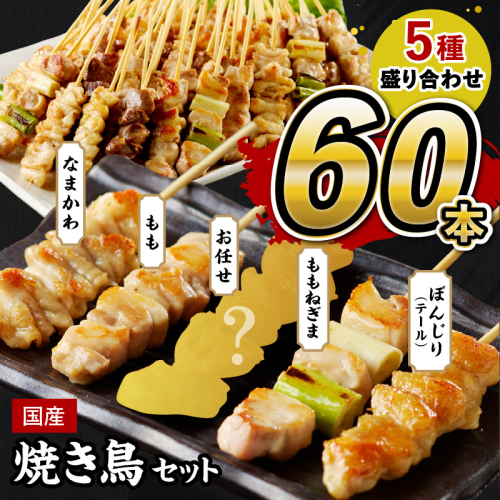 焼き鳥 60本 ／国産焼き鳥セット 5種盛り合わせ60本 バラエティ 焼き鳥 セット ＜もも串焼き鳥／ねぎま焼き鳥／かわ焼き鳥／ テール（ぼんじり焼き鳥）串焼き鳥・冷凍焼き鳥・焼き鳥詰め合わせ・焼き鳥小分け＞ 835316 - 京都府京丹後市