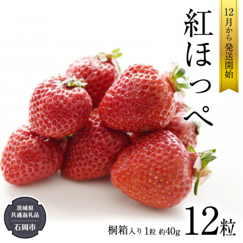 紅ほっぺ いちご 桐箱入り 12粒 【12月から発送開始】 （県内共通返礼品：石岡市産） フルーツ 果物 デザート イチゴ 苺 季節 桐箱 贈答 [BI351-NT] 835425 - 茨城県つくばみらい市