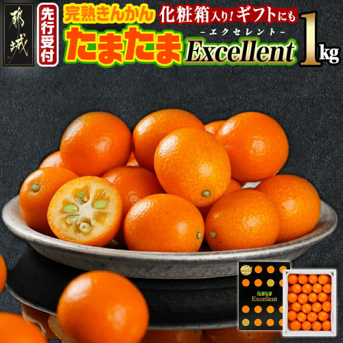 《先行受付!》 完熟きんかん「たまたま Excellent」1kg (化粧箱入)_AC-0113 835461 - 宮崎県都城市