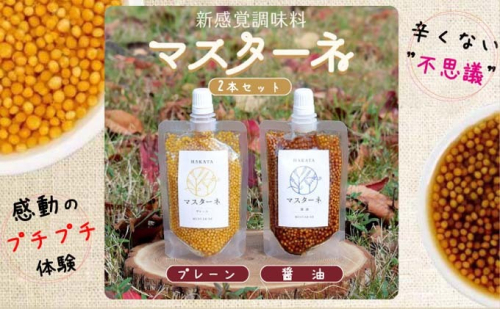 調味料 マスターネ プレーン しょう油 2本セット 100g×各1 マスタード 食べ比べマスタードシード 味付け 辛くない 料理 アクセント和食 洋食 中華 万能調味料  835538 - 福岡県朝倉市