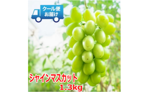 安心のクール便発送　シャインマスカット 1.3kg (2房)【1398966】 835695 - 山梨県山梨市