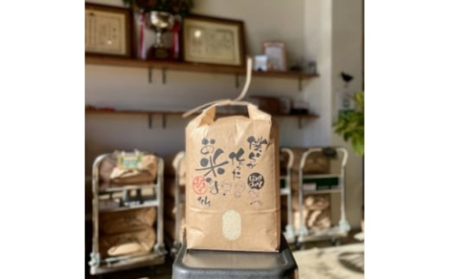 愛知県産ひのひかり 精米10kg【1394557】