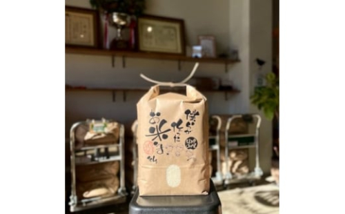 愛知県産ゆめまつり 精米10kg【1394558】