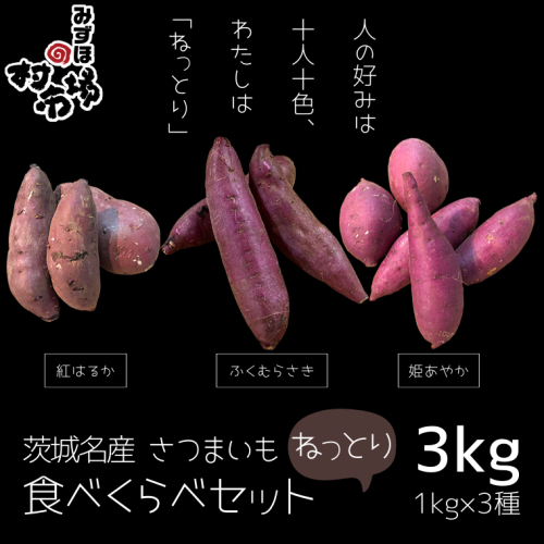 茨城名産 さつまいも 食べくらべ セット【ねっとり】 1kg × 3種 3kg サツマイモ 芋 詰合せ 野菜 スイーツ 焼き芋 紫芋 紅はるか ふくむらさき 姫あやか 835821 - 茨城県牛久市