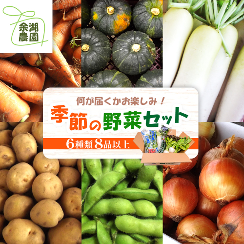 北海道産季節の野菜詰め合わせ 6種類8品【31000502】 83592 - 北海道恵庭市