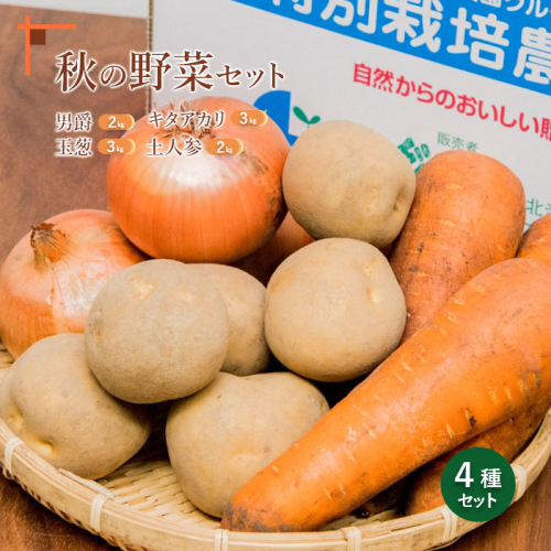 【先行予約】秋の野菜4品セット【31000603】 83593 - 北海道恵庭市