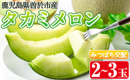 タカミ(貴味)メロンとは、アムス・アールス・ロッキーフォードを掛け合わせて誕生したメロンです。上品な味で、ほどよい甘さで、舌ざわりも良くて水分も多く含まれとてもジューシーです。心掛けて栽培している事は