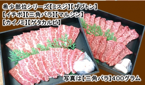 希少部位の焼肉BBQセット【1キロ】高級4等級使用!!『知多牛』※北海道・沖縄・離島の方は量が異なりますので、下記内容量欄で確認してください。