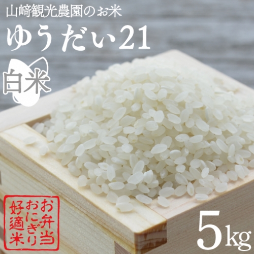 AU006　山崎観光農園のお米　令和5年産　ゆうだい21　白米5kg 836274 - 栃木県益子町