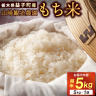 山崎観光農園のもち米 5kg | 栃木県 益子町 ふるさと納税 お米 米 もち米 5kg 令和7年産 (AU008)