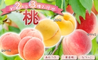 桃 約2kg 3種お任せ あかつき なつっこ 黄金桃 果物 もも 3種類 白桃 黄桃 産地直送 長野県 小諸市