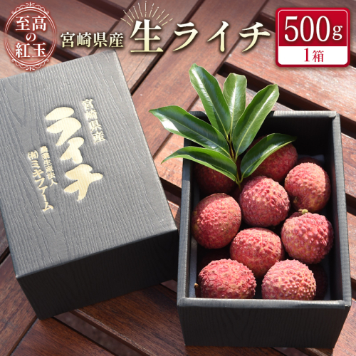 <限定50セット>宮崎県産 生ライチ「至高の紅玉」500g 人気 国産 希少 果物 旬 ギフト プレゼント【B321】 836572 - 宮崎県新富町