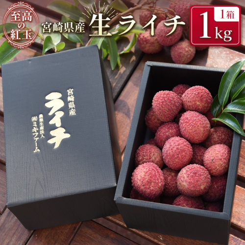 <限定50セット>宮崎県産 生ライチ「至高の紅玉」1kg 人気 国産 希少 果物 旬 ギフト プレゼント【C365】 836635 - 宮崎県新富町
