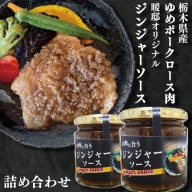 CM001　栃木県産ゆめポークロース肉と暖邸オリジナルジンジャーソース詰め合わせ