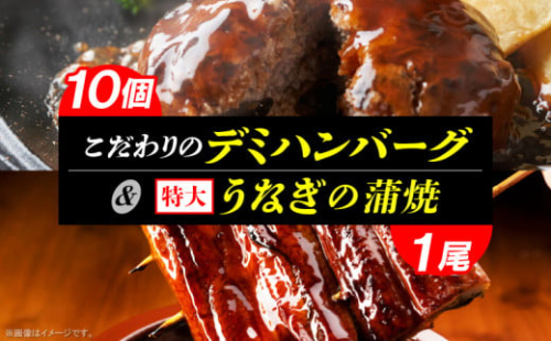 こだわりのデミハンバーグ10個＆うなぎの蒲焼1尾（ビッグサイズ約300g）のセット　K04605