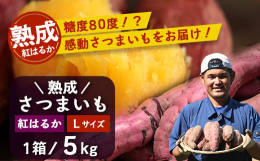 ＼＼2025年収穫の熟成紅はるか 11月下旬より発送開始／／熟成紅はるか【感動サツマイモ】の見た目にも立派な"Ｌサイズ"に、『おすそ分け袋』、『美味しい焼き芋の焼き方 説明書』を付