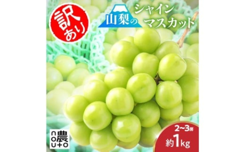 【2026年発送★先行予約】【訳あり】 シャインマスカット 2房～3房（1kg以上） 154-027 | 不揃い ご自宅用 ご家庭用 フルーツ 果物 高評価 人気 ランキング おすすめ 甘い 美味しい デザート 数量限定 送料無料 山梨県産 笛吹市 ぶどう 「販売」 KEIPE株式会社