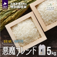 【先行受付開始！】北海道浦河町の特別栽培米「悪魔ブレンド」精米(5kg×1袋)[37-1225]
