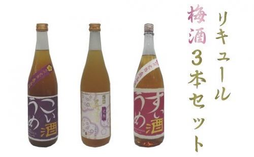 リキュール梅酒3本セット【miy125】 83921 - 和歌山県北山村