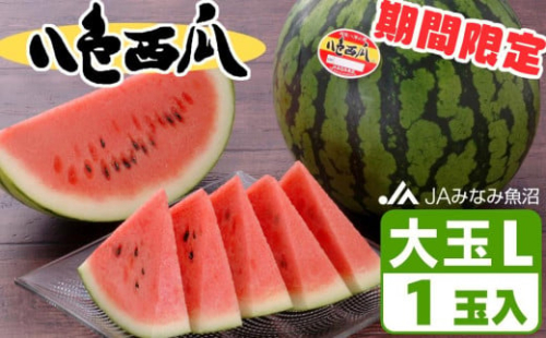 【期間限定】八色西瓜（大玉 Lサイズ) ×1玉
