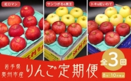 【数量限定】奥州市のりんご定期便・3回（8月～10月） 江刺りんごやオリジナル品種の食べ比べコース