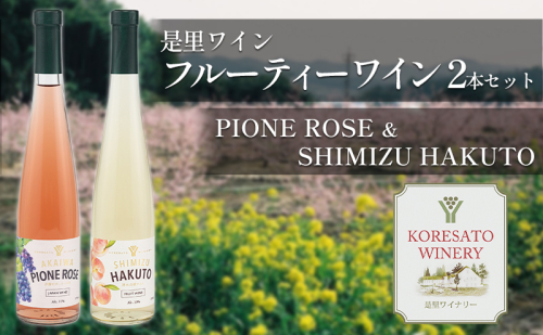 是里 ワイン フルーティー ワイン 2本 セット 岡山 赤磐市 お酒 ロゼワイン ワインセット 果実のうまみ すっきり 甘口 華やかな香り  840996 - 岡山県赤磐市