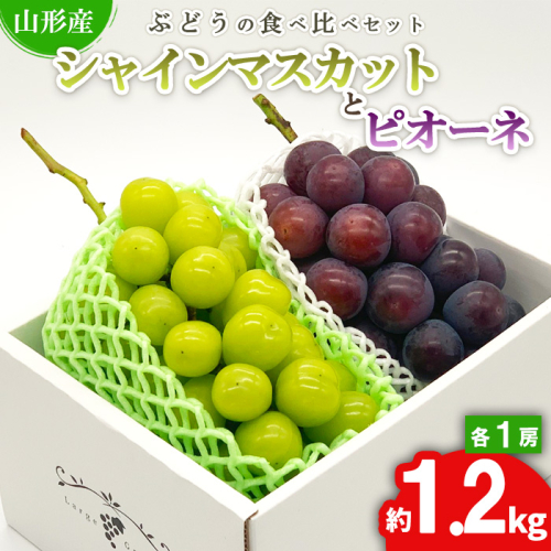 ★ぶどうの食べ比べセット★シャインマスカットとピオーネ 約1.2kg（各1房) 秀品 期間限定【令和8年産先行予約】FS24-526 841037 - 山形県山形市