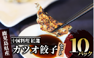 カツオ餃子10パックセット(紅龍/010-391) かつお ぎょうざ 冷凍 ギョウザ 餃子鍋 点心 飲茶