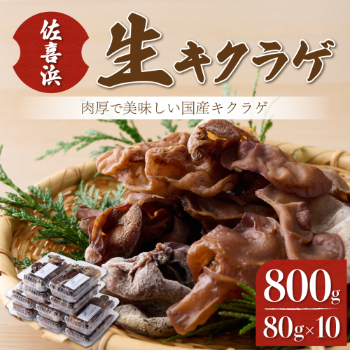 佐喜浜キクラゲ（生）　計８００ｇ（８０g×１０袋） 841086 - 高知県室戸市