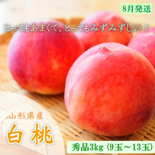 山形市産 白桃 秀品 約3kg [やや硬め]【令和8年産先行予約】FU23-035 841103 - 山形県山形市