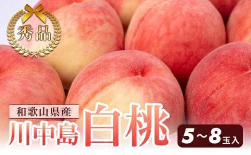 和歌山県産 川中島白桃 5～8玉入り 秀品 先行予約［2026年7月下旬以降発送］［MG7］ 841143 - 和歌山県那智勝浦町