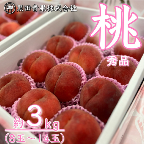 山形産 白桃 秀 3kg(8玉～14玉)【令和8年産先行予約】FU23-315 841196 - 山形県山形市