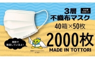 【72001】鳥取県岩美町産　不織布マスク５０枚入り×４０箱（２０００枚）