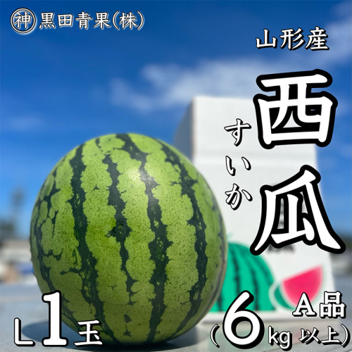山形産 西瓜(すいか) L 1玉(6kg以上)【令和8年産先行予約】FU23-060 841206 - 山形県山形市