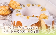 レモン焼き菓子セット【1393123】