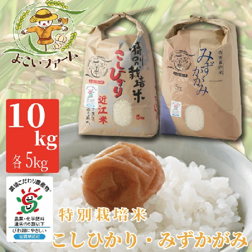 【C-539】【令和6年産　新米】よこいファーム 特別栽培米食べ比べセット　こしひかり　みずかがみ　計10kg（各5kg）［高島屋選定品］ 84257 - 滋賀県高島市