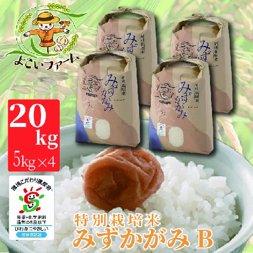 【C-538】【令和6年産　新米】よこいファーム 特別栽培米みずかがみＢ 20kg（5kg×4）［高島屋選定品］ 84259 - 滋賀県高島市