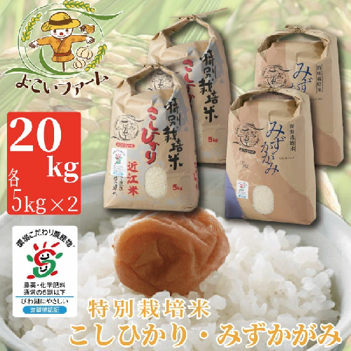 【C-540】【令和6年産　新米】よこいファーム 特別栽培米食べ比べセット　こしひかり　みずかがみ　 計20kg（各5kg×2） ［高島屋選定品］ 84261 - 滋賀県高島市