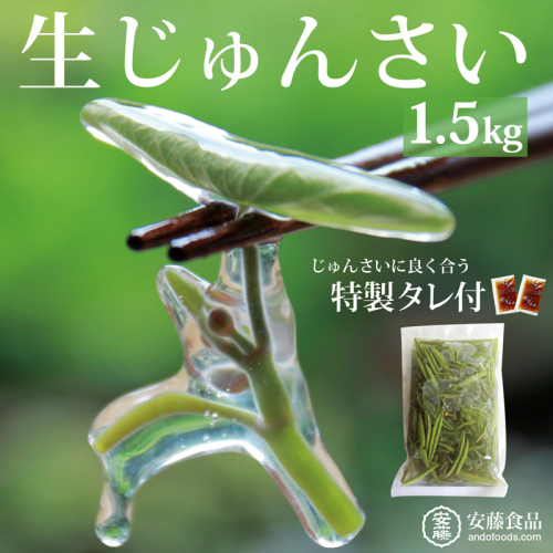 生じゅんさい1.5kg ゆずタレ6個 《冷蔵》（2026年5月上旬頃～7月下旬までに発送予定） 令和8年産 2026年産 先行受付  秋田県産 三種町産 842922 - 秋田県三種町